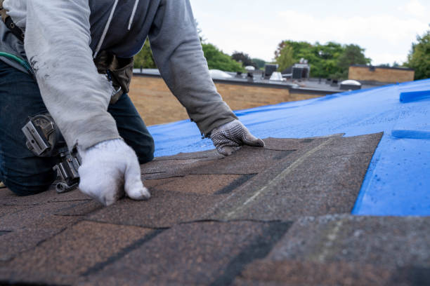 Best Shingle Roofing Installation  in Johnson City, NY