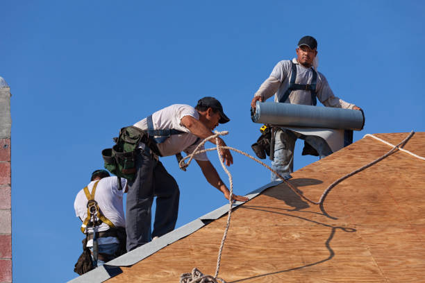 Best Roof Leak Repair  in Johnson City, NY