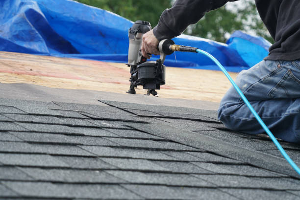 Best Flat Roof Repair Services  in Johnson City, NY