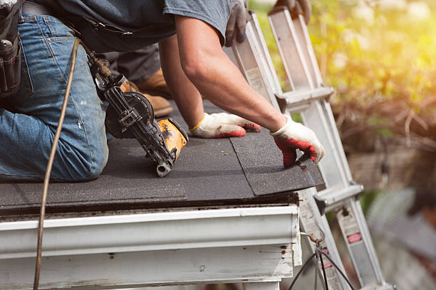 Best Gutter Installation and Roofing  in Johnson City, NY